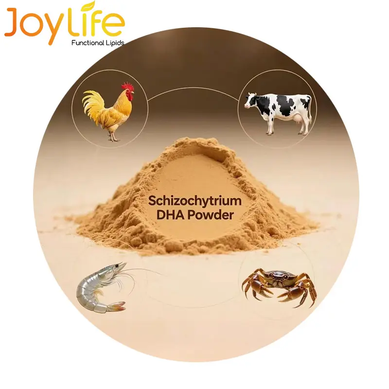 Schizochytrium Powder 18%,20% DHA