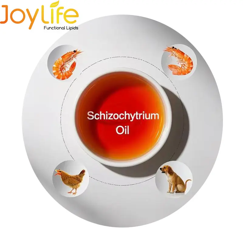 Schizochytrium Oil 50% DHA