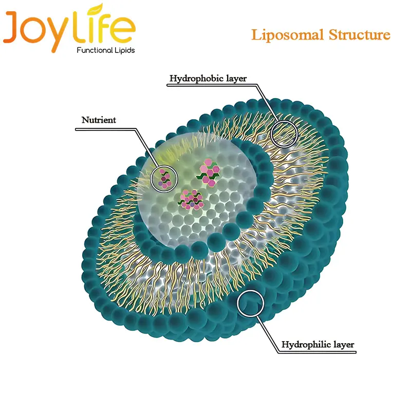Vitaminas liposomales