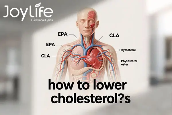 lower cholesterol products, difference between EPA, CLA, Phytosterol and Phytosterol ester on Lowering cholesterol?